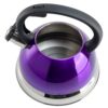 Mr. Coffee Flintshire Stainless Steel Whistling Tea Kettle W/Nylon Handle, 1.75-Quart, Metallic Purple - Image 3